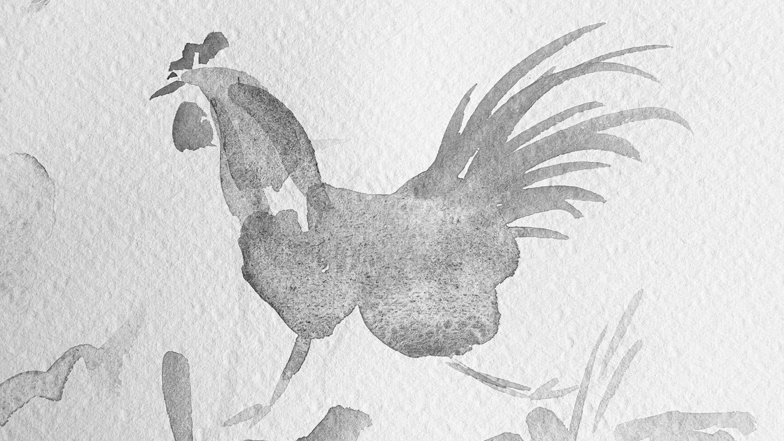 cock watercolor
